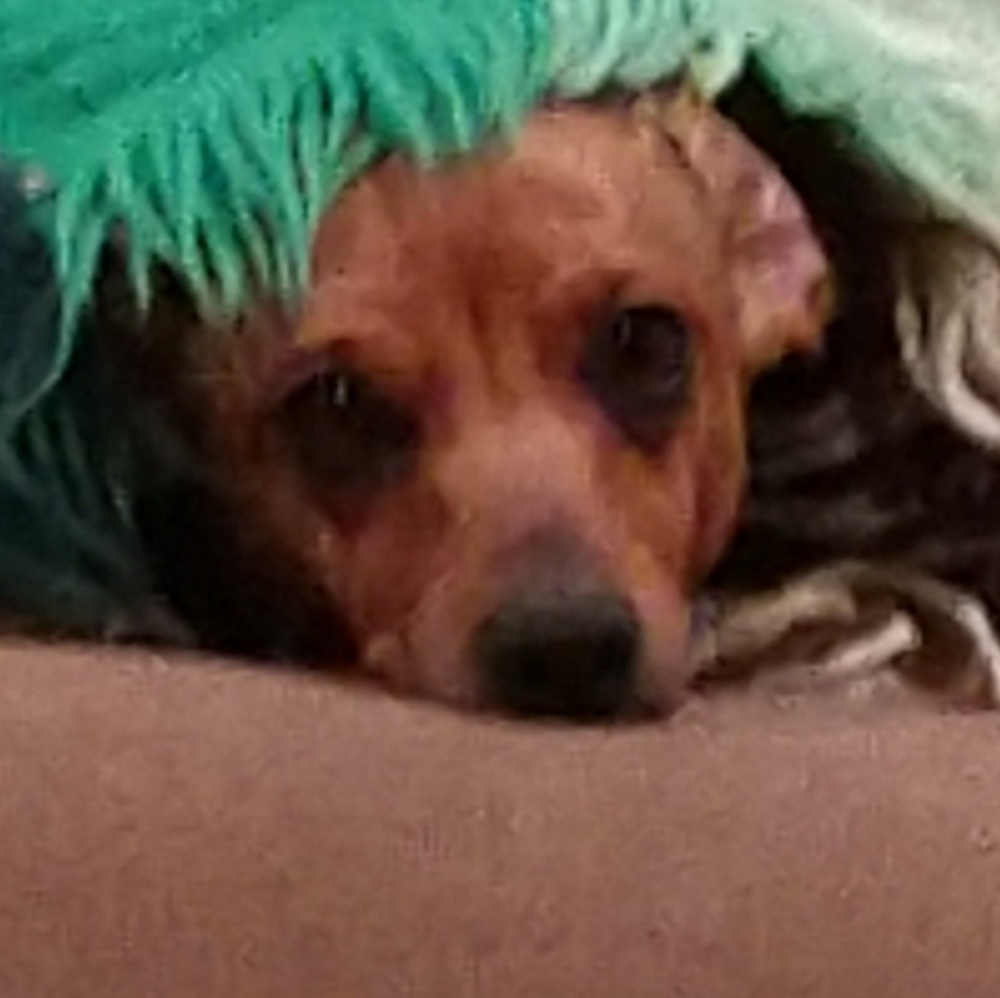 Meet your Posher, Melanie